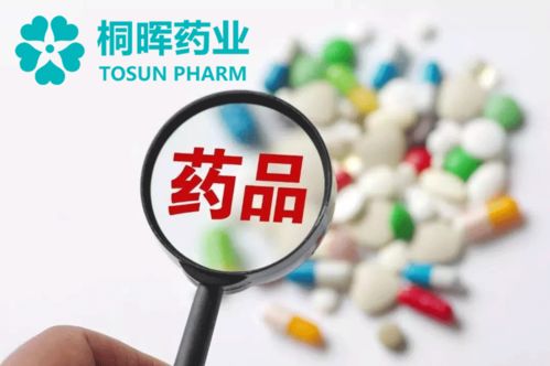 仿制药项目技术转让与技术服务详情