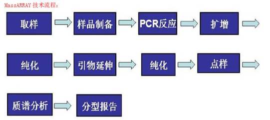 晶能生物技术(上海) Sequenom MassArray SNP分型技术服务报价详解