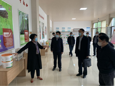 发挥供销社桥梁纽带优势，助力农产品产销精准对接与技术升级